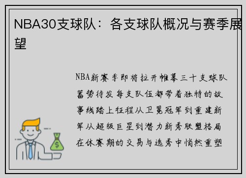 NBA30支球队：各支球队概况与赛季展望