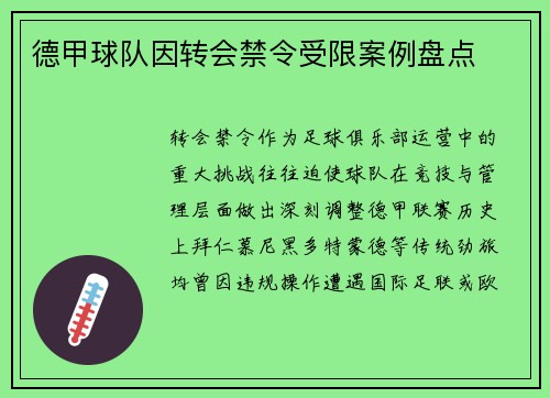 德甲球队因转会禁令受限案例盘点